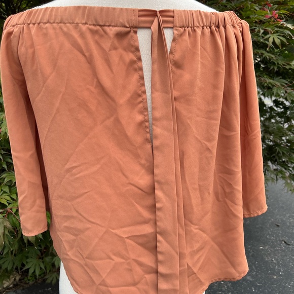 Off the shoulder nutmeg ish colored smooth top from Windsor - Picture 2 of 2